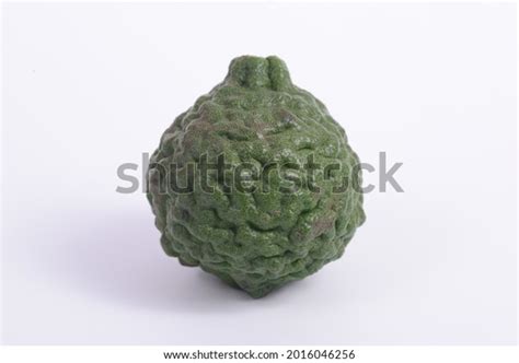 Citrus Hystrix Called Kaffir Lime Makrut Stock Photo