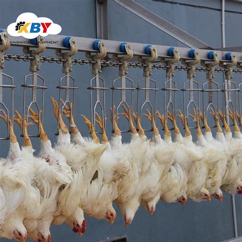 Automatic Poultry Chicken Slaughtering Line Slaughterhouse Chicken