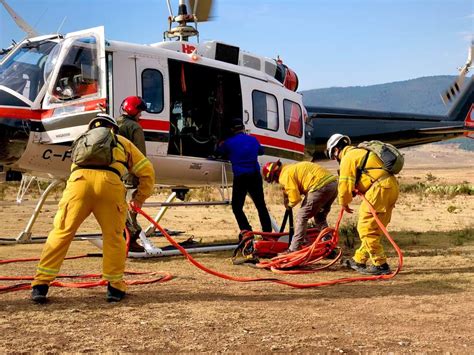 Protección Civil Nl On Twitter 🔥🌲👨‍🚒 Protección Civil Nuevo León