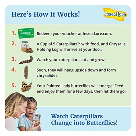 Insect Lore Butterfly Garden Review | 10zon