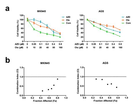 Augmented Antitumor Activity By Olaparib Plus AZD1775 In Gastric Cancer