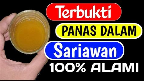 Sariawan Parah Coba Resep Ini Cara Mengobati Panas Dalam Secara