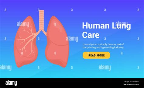 Lung Anatomy Health Banner Concept Tuberculosis Asthma Human Lung