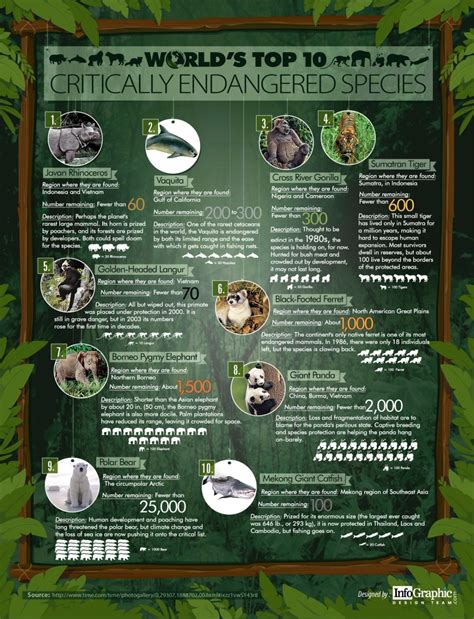 Top 20 Endangered Species List