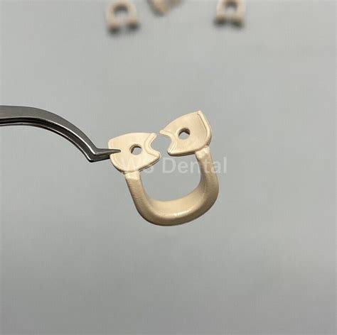 Pcs Dental Rubber Clamps Resin Soft Universal Dam Sheet Molar Premolar