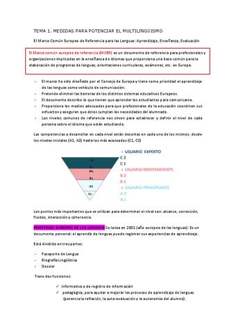 Resumen Temas Didactica Pdf