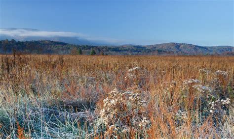 Autum Colors, Great Smoky Mountains National Park Stock Photo - Image ...