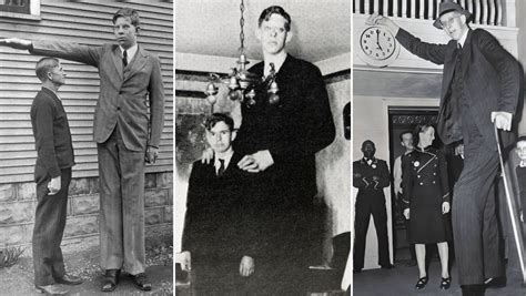 El Hombre Más Alto De La Historia Robert Wadlow En Cada Año De Su Vida