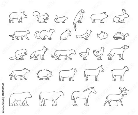 Vector line set of domestic and wild animals. Stock Vector | Adobe Stock