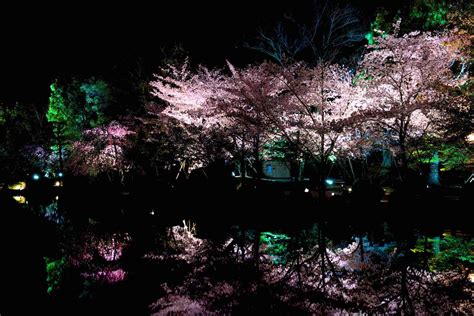 Toji Temple - GaijinPot Travel