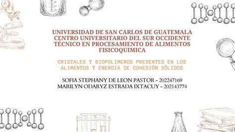 Exposici N Fisicoqu Mica Cristales Y Biopolimeros Presentes En Los