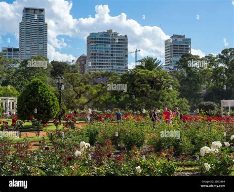 Park Bosques de Palermo in quarter Palermo, the rose garden (El Rosedal ...