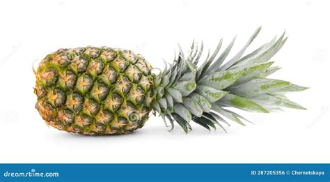 One Delicious Ripe Pineapple Isolated On White Stock Photo Image Of