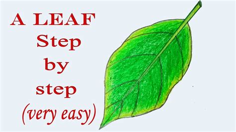 How To Draw A Leaf Step By Step Very Easy Art Video Youtube