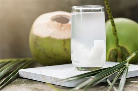 Rutin Minum Air Kelapa Saat Perut Kosong Bikin Langsung Dan Kulit Sehat