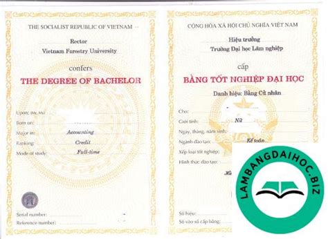 lam bang dai hoc phoi  bang dai hoc duoc lay tu phoi goc