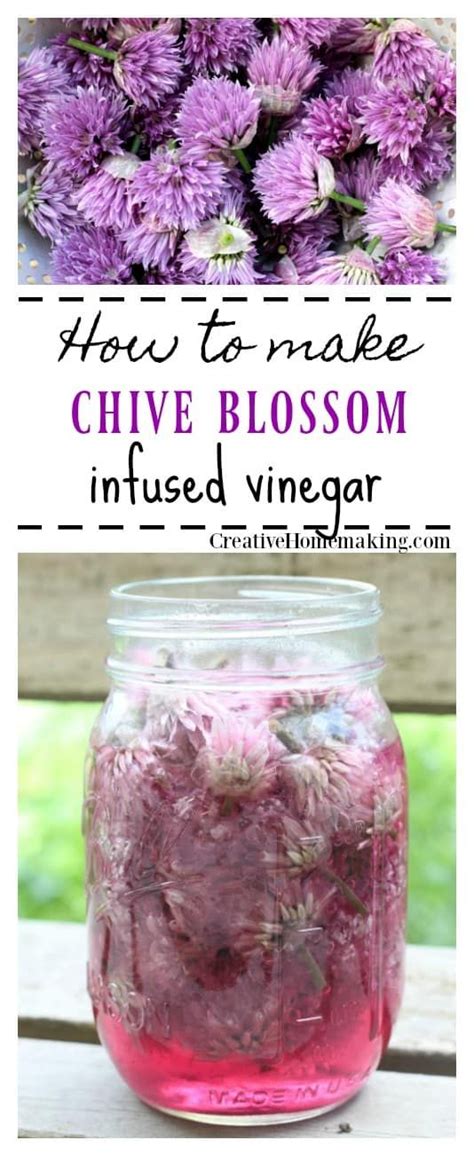 Chive Blossom Vinegar Chive Blossom Infused Vinegars Chives