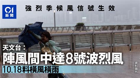 強烈季候風信號生效風力如3號風球 天文台指陣風達8號風球烈風