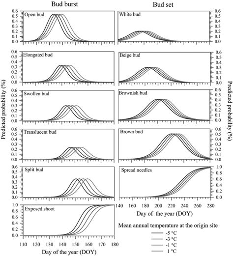 Predicted Probability Of The Occurrence Of Bud Burst And Bud Set