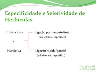 HERBICIDAS INIBIDORES DE ACCase FOTOSSISTEMA I E FOTOSSISTEMA II PPT