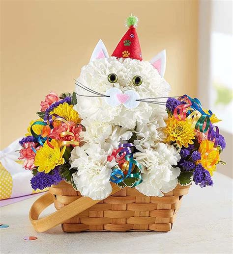 Purrfect Party Cat Flower Delivery Birthday Flowers 800 Flowers