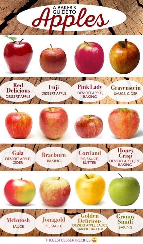 Apple Uses Names For Different Types Of Apples Eten Recepten Eten