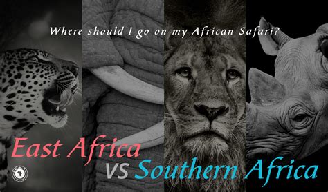 Where Should I Go On My African Safari East Africa Vs Southern Africa Fair Trade Safaris