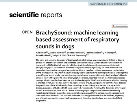 BrachySound: machine learning based assessment of respiratory sounds in ...