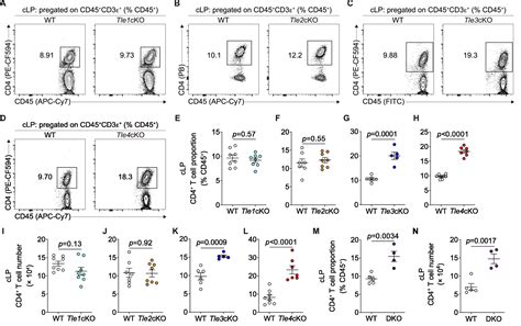 Tle And Tle Coordinated Colonic Macrophage Cd T Cell Crosstalk