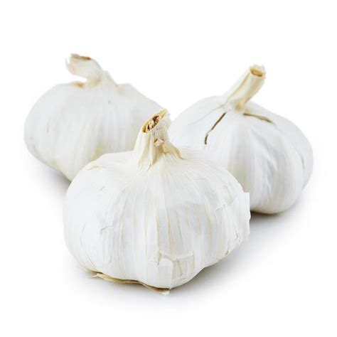 Natoora Large Spanish Garlic Ocado