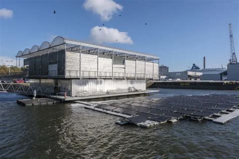 Why This Dairy Farm Is Floating In The Rotterdam Harbor