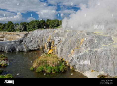 Pohutu Geyser Te Puia Rotorua North Island New Zealand Stock Photo