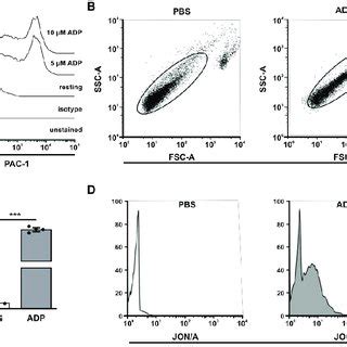 Figure A Gating Strategies For Cytometry Analysis Shown In Figures