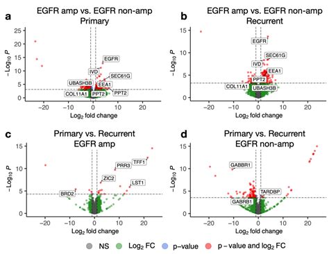 egfr pathway expression persists  recurrent glioblastoma independent
