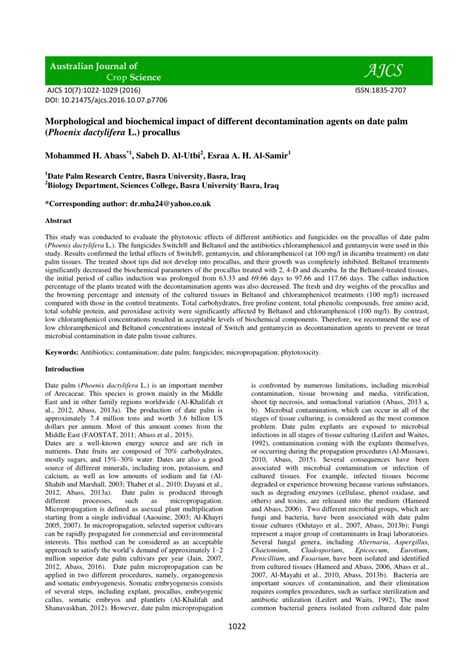 Pdf Morphological And Biochemical Impact Of Different Decontamination