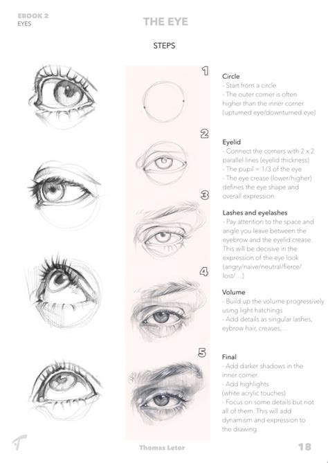 Drawing The Eye Step By Step Ebook Part 2 Easy Portrait Drawing Eye