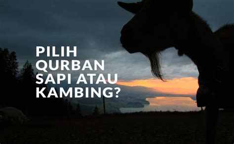 Pilih Qurban Sapi Atau Kambing