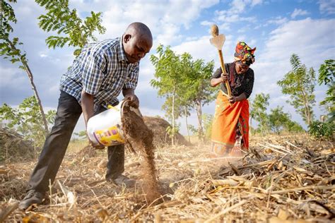 Building Climate Resilient Agri Food Systems