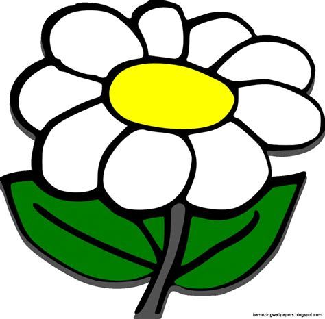 Daisy Drawing | Amazing Wallpapers