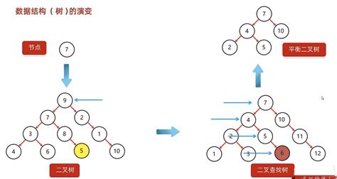 数据结构之树 Csdn博客