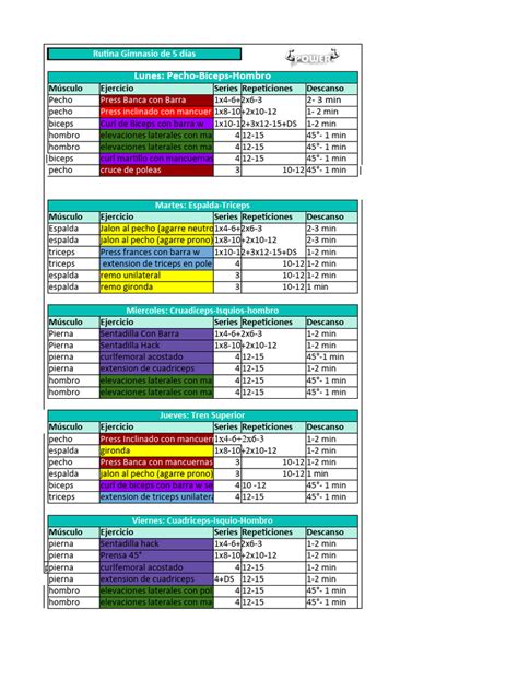 Rutina Gimnasio 5 Dias Pdf Anatomía Humana Articulaciones