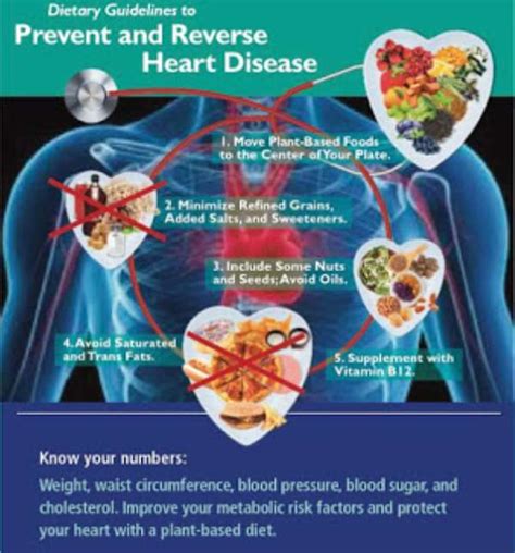 Prevention Of Coronary Artery Diseases