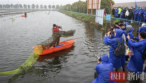 潜江龙虾开捕上市，第一笼虾拍得28万元，一只虾能玩出108种花样价格监测中心全国口味