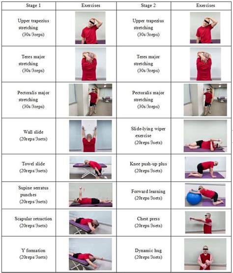 The Effects Of Scapular Stabilization Exercises Accompanied By Spine