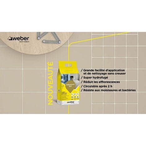 Joint carrelage hydrofugé décoratif Orme 5 kg spécial intérieur et