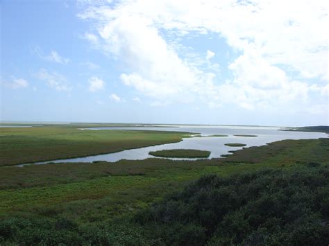 Aransas National Wildlife Refuge Jaeger S Blog