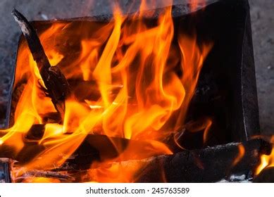 Burning Log Fire Stock Photo 245763589 | Shutterstock