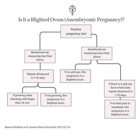 Blighted Ovum Symptoms And Miscarriage Treatment Options