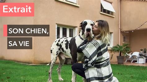 Le quotidien avec son chien de 85 kg Ça commence aujourd hui YouTube