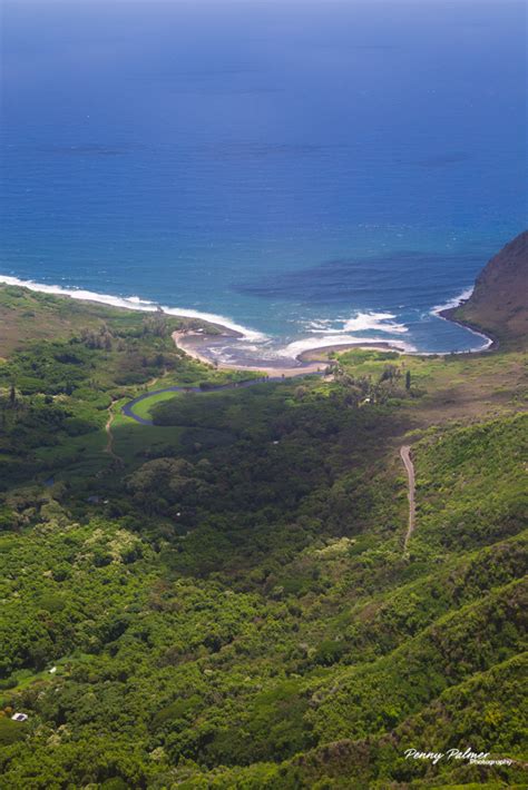 Molokai Arial Adventure for your Honeymoon